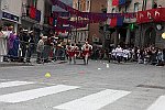 Gara delle Bighe 2011-7864